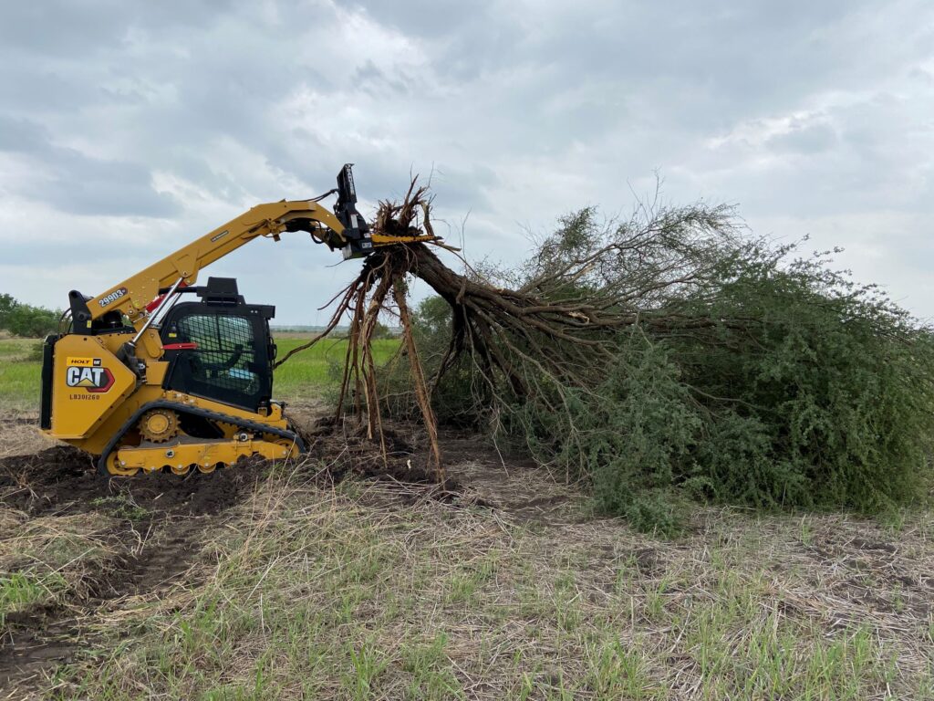 Tree Removal